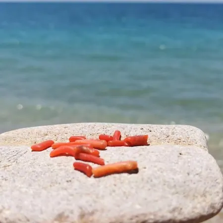 Apartmán Mare Blu *