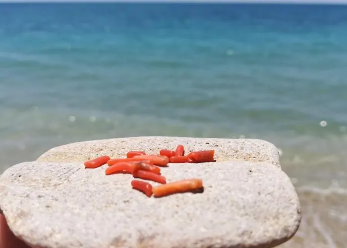 Lejlighed Mare Blu *